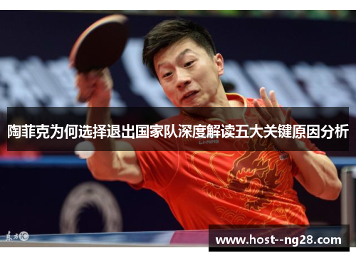 陶菲克为何选择退出国家队深度解读五大关键原因分析