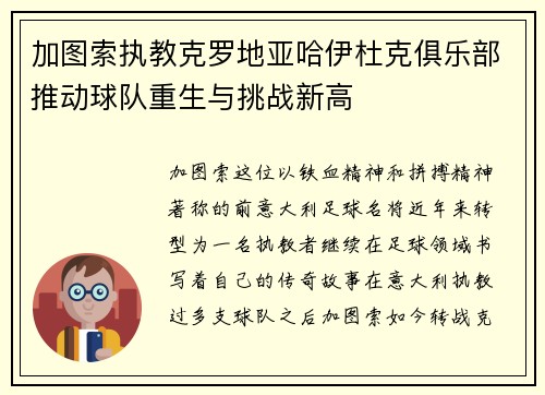 加图索执教克罗地亚哈伊杜克俱乐部推动球队重生与挑战新高 加图索执教克罗地亚哈伊杜克俱乐部推动球队重生与挑战新高